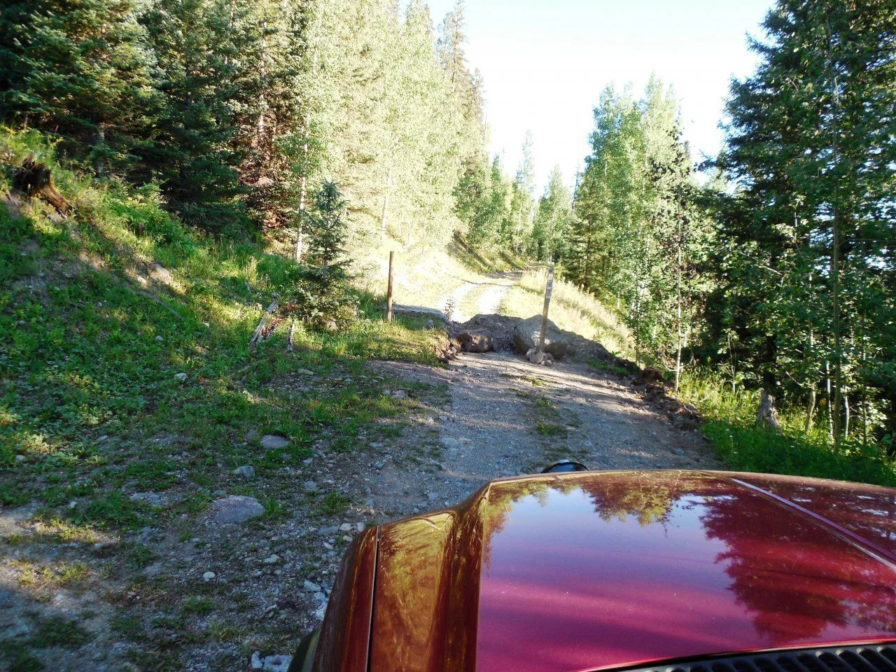 20140808_3_Dallas Creek Road.webp