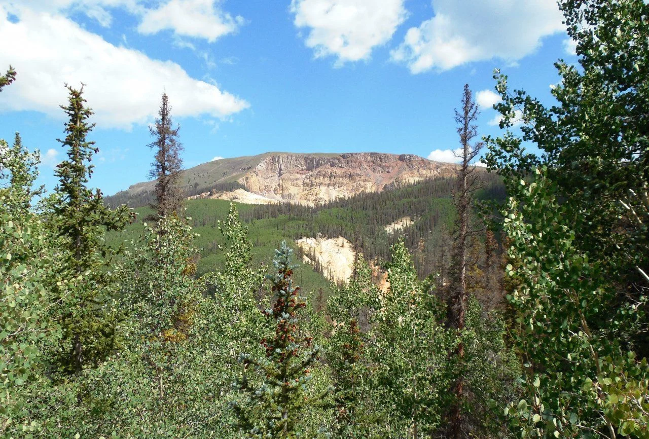 20140810_E_Slumgullion Earthflow.webp
