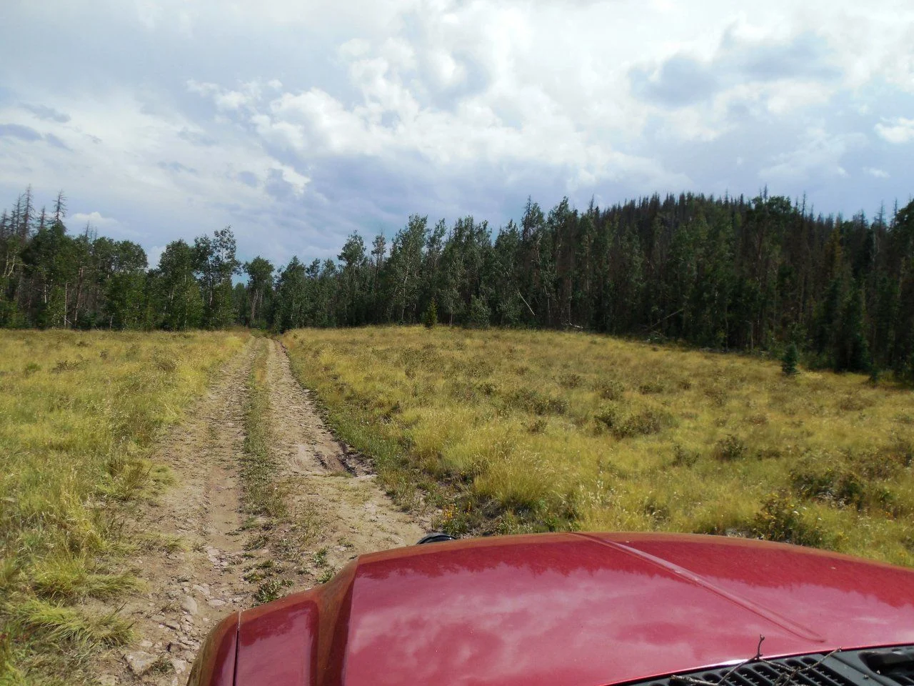20140811_I_Off NFS 600.webp