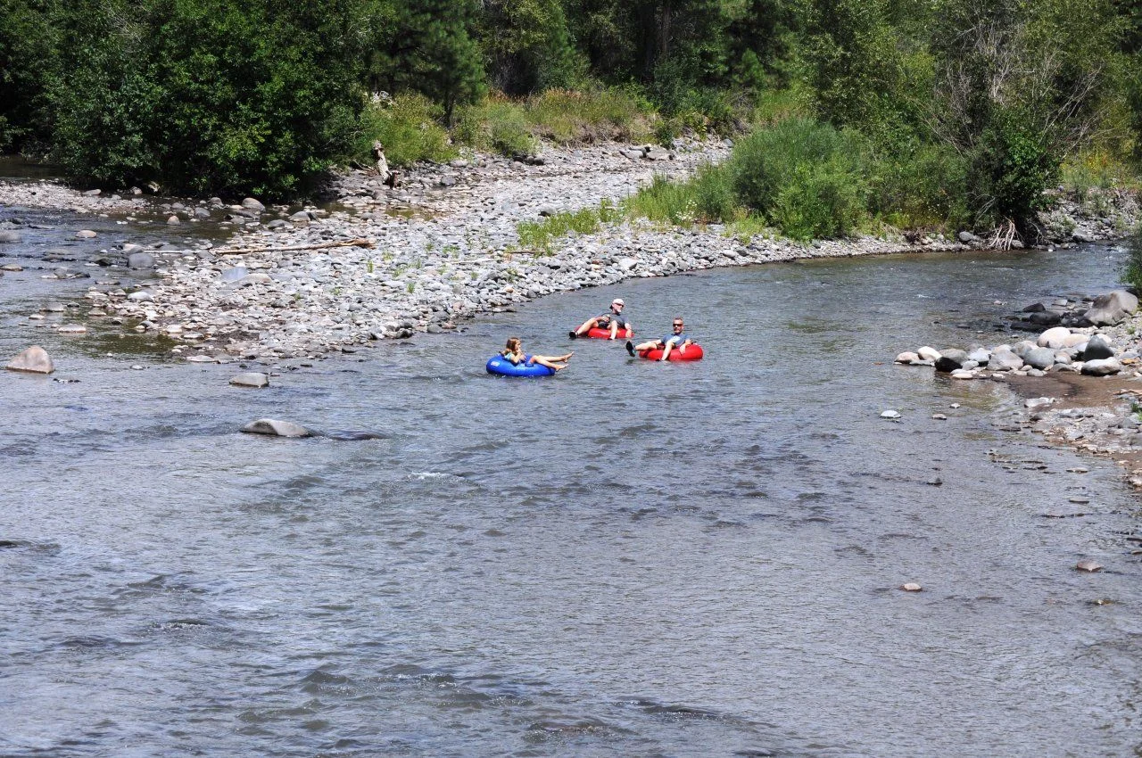 20140813_K_Tubin'.webp