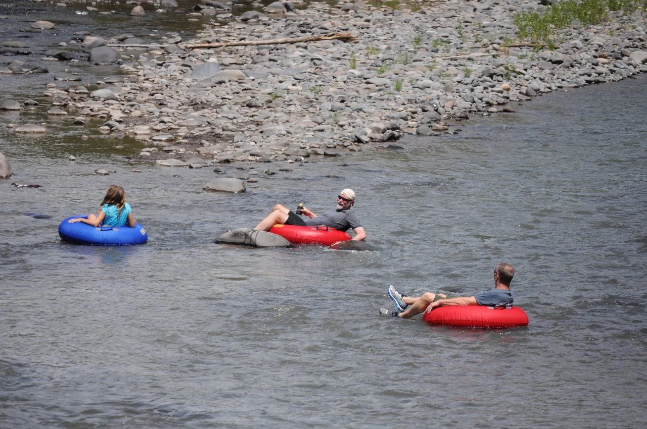20140813_M_Tubin'.webp