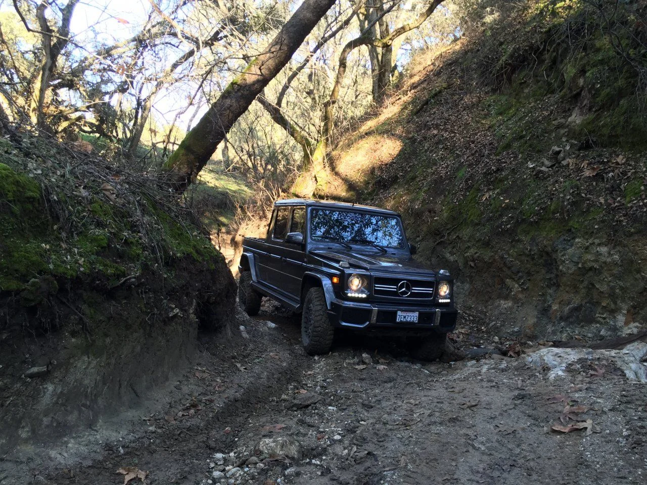 2015-12-31 12.10.45 HDR.webp