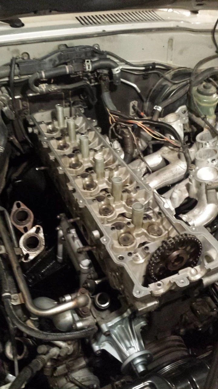 20150425_094952.jpg