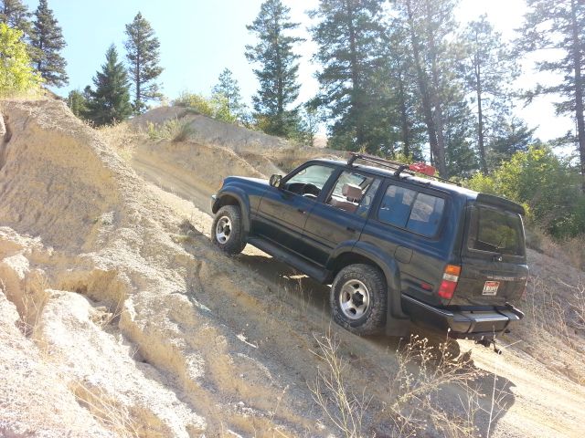 20150912_113233.jpg