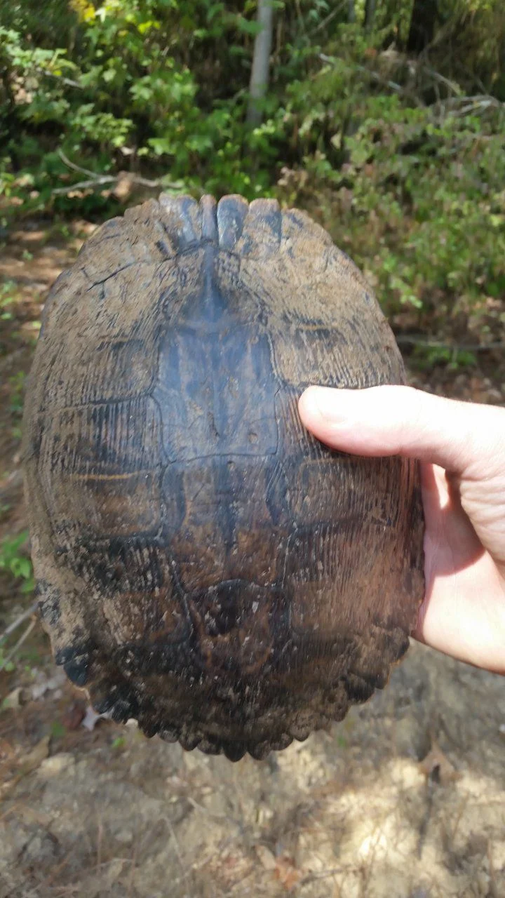 20150917_135142.webp