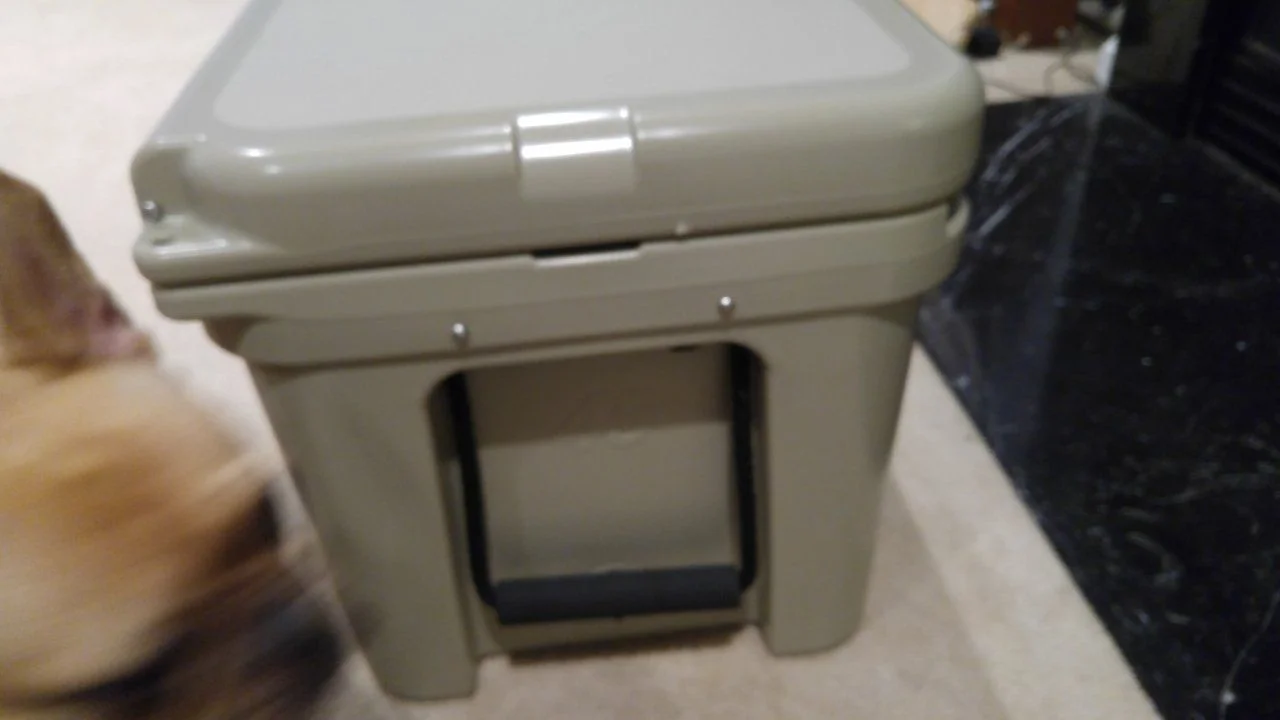 20160109_211031.webp