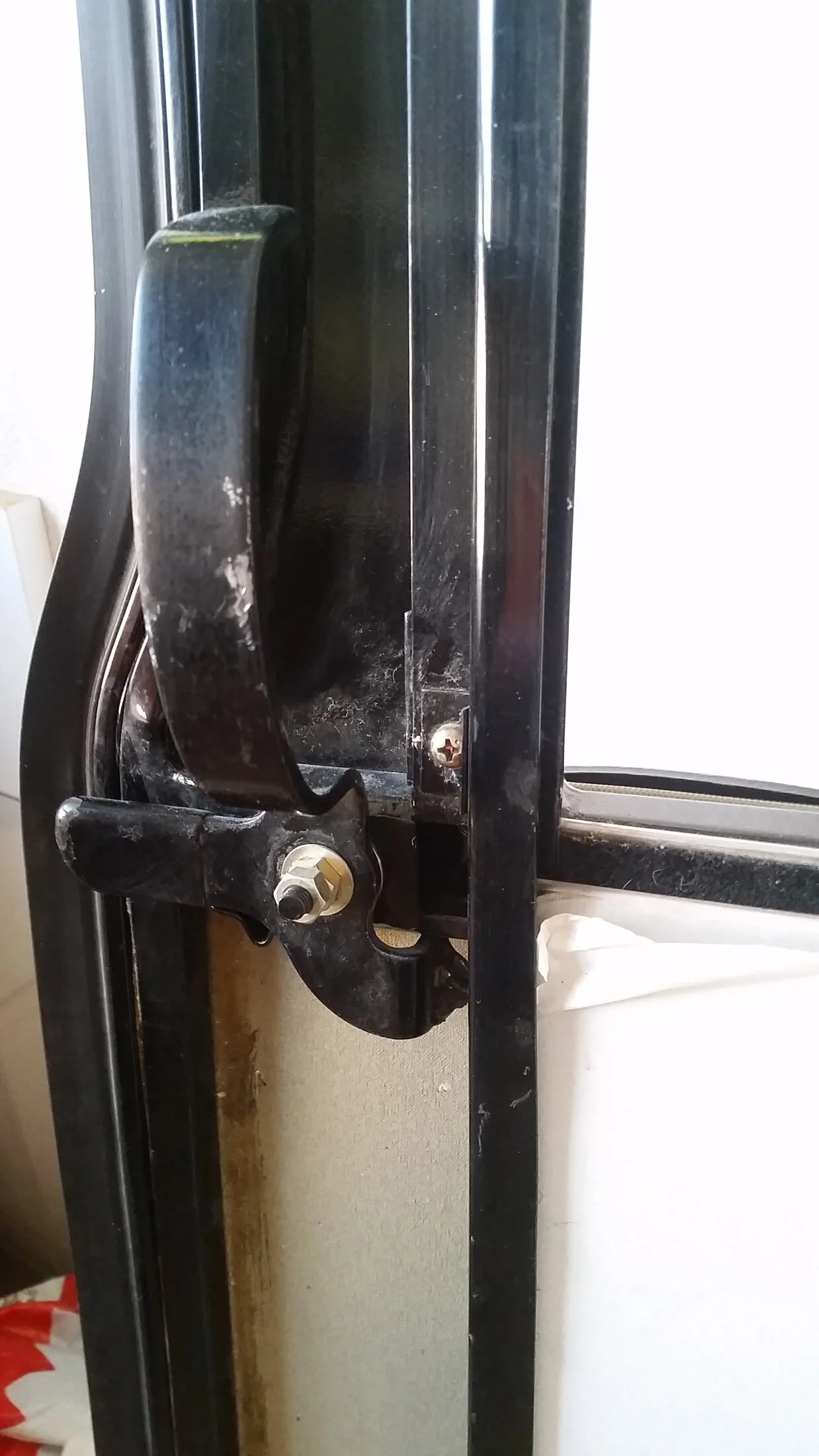 20160225_105219.jpg