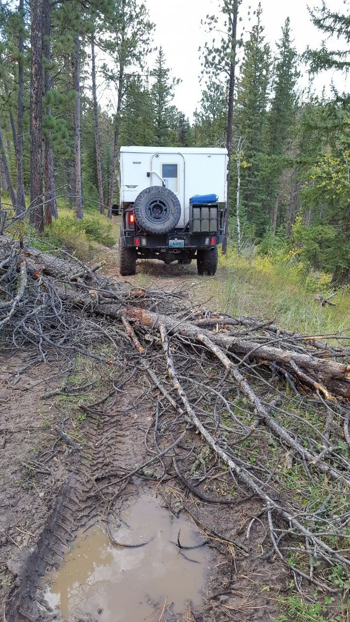 20160916_10_Trail 8155 past trees.webp