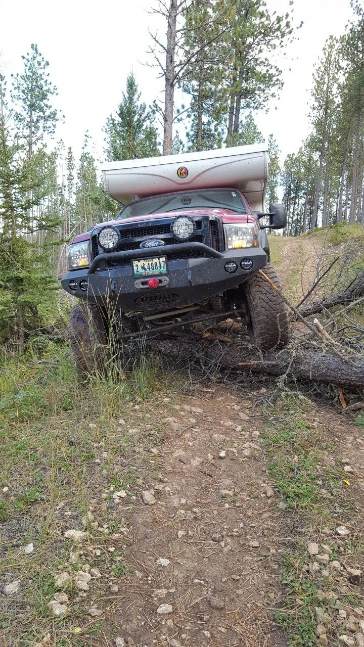 20160916_9_Trail 8155 up and over trees.webp