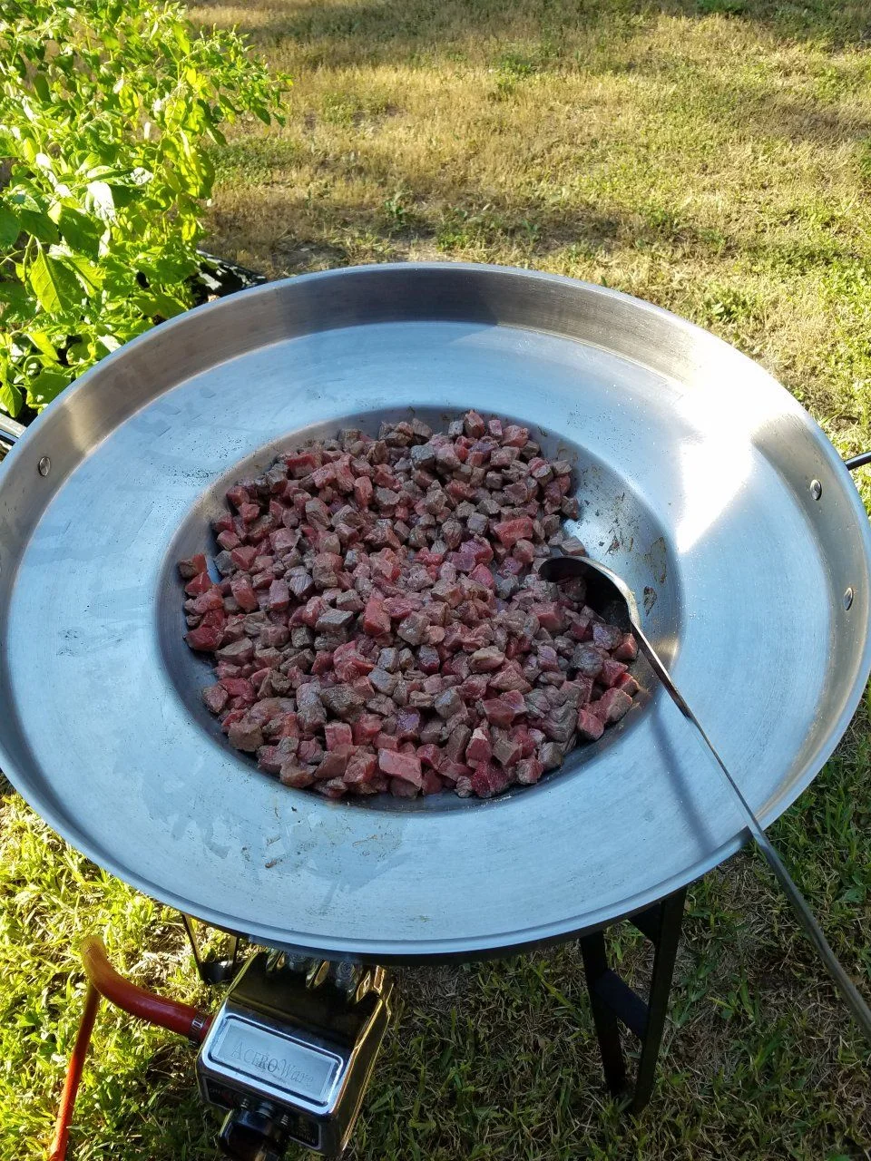 20160917_171803.webp