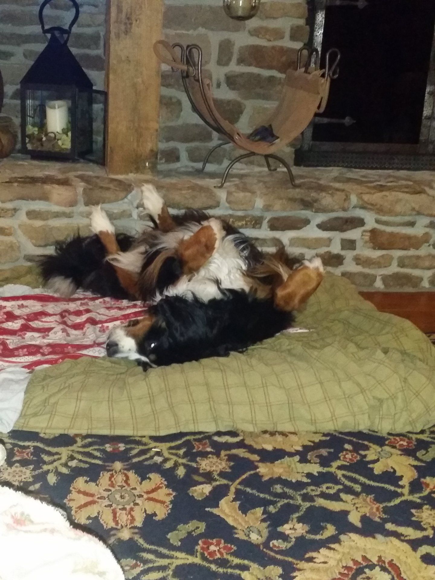 20170118_195202.jpg