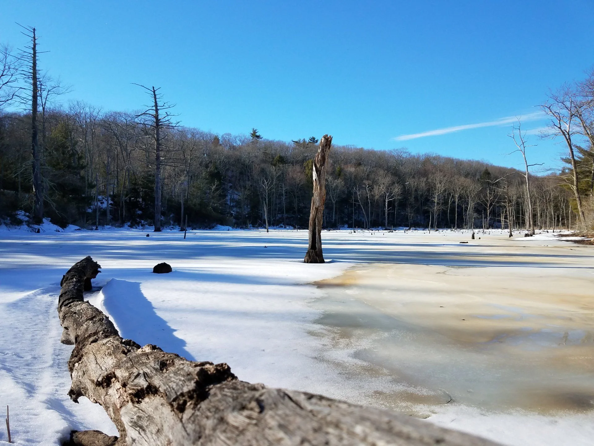 20170219_145354.jpg