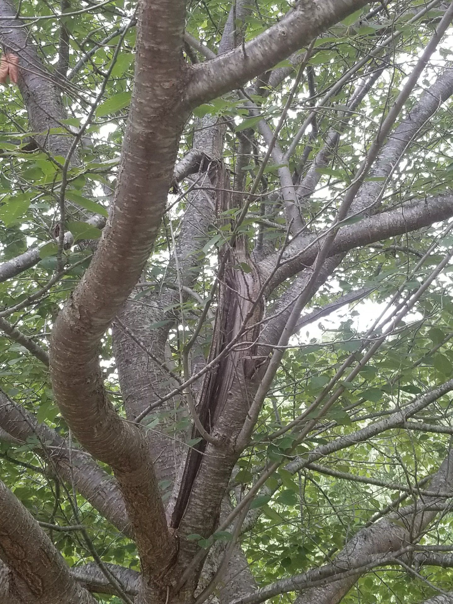 20170617_115429.jpg