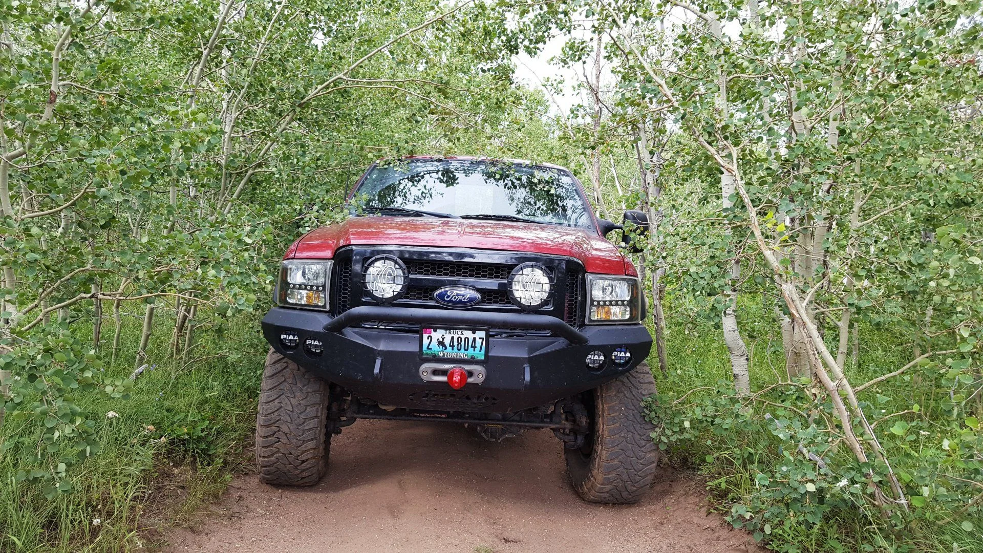 20170724_A_Ford in aspens.webp