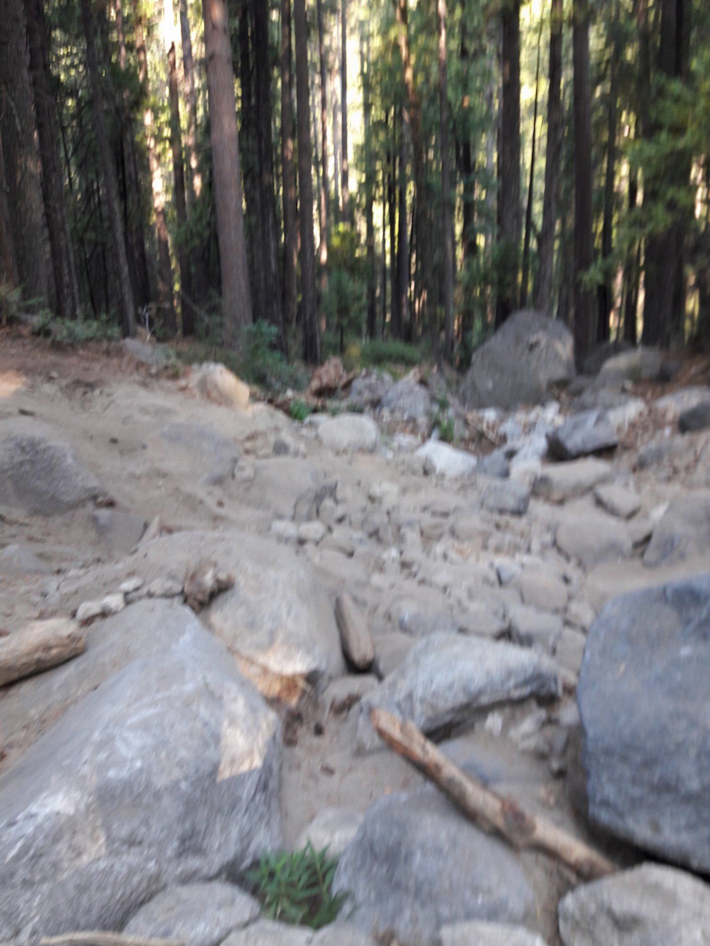 20170816_075748.jpg