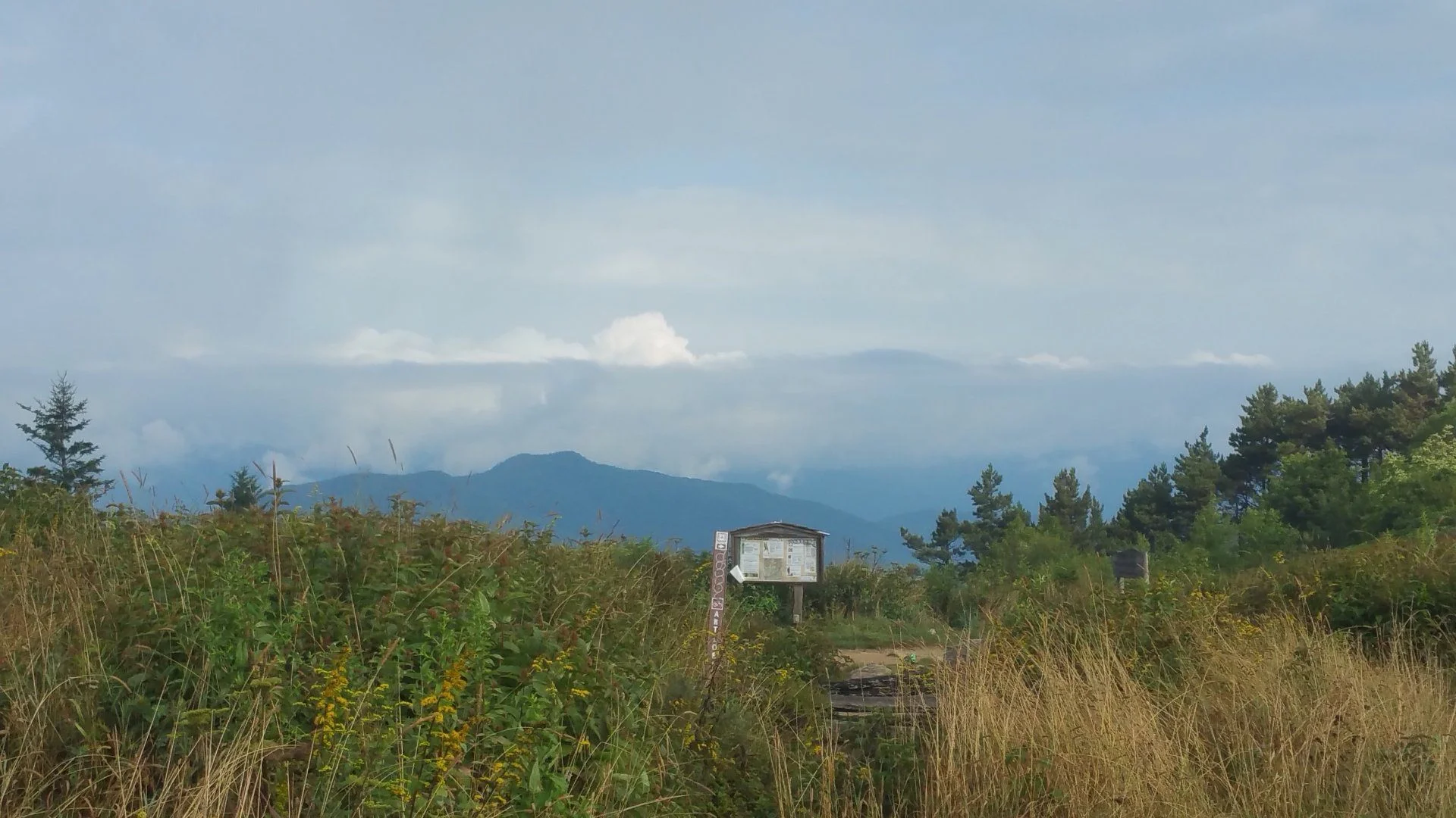 20170827_091854.webp