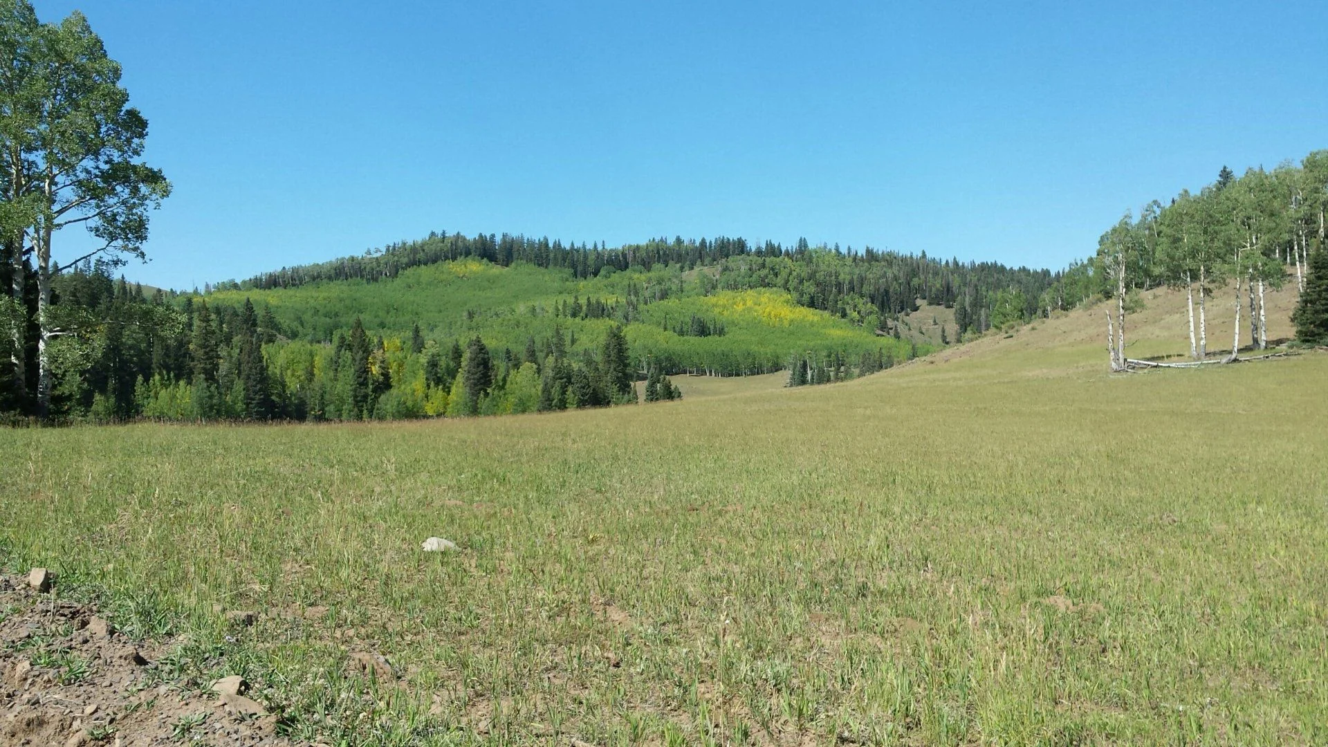 20170905_123039_resized.webp