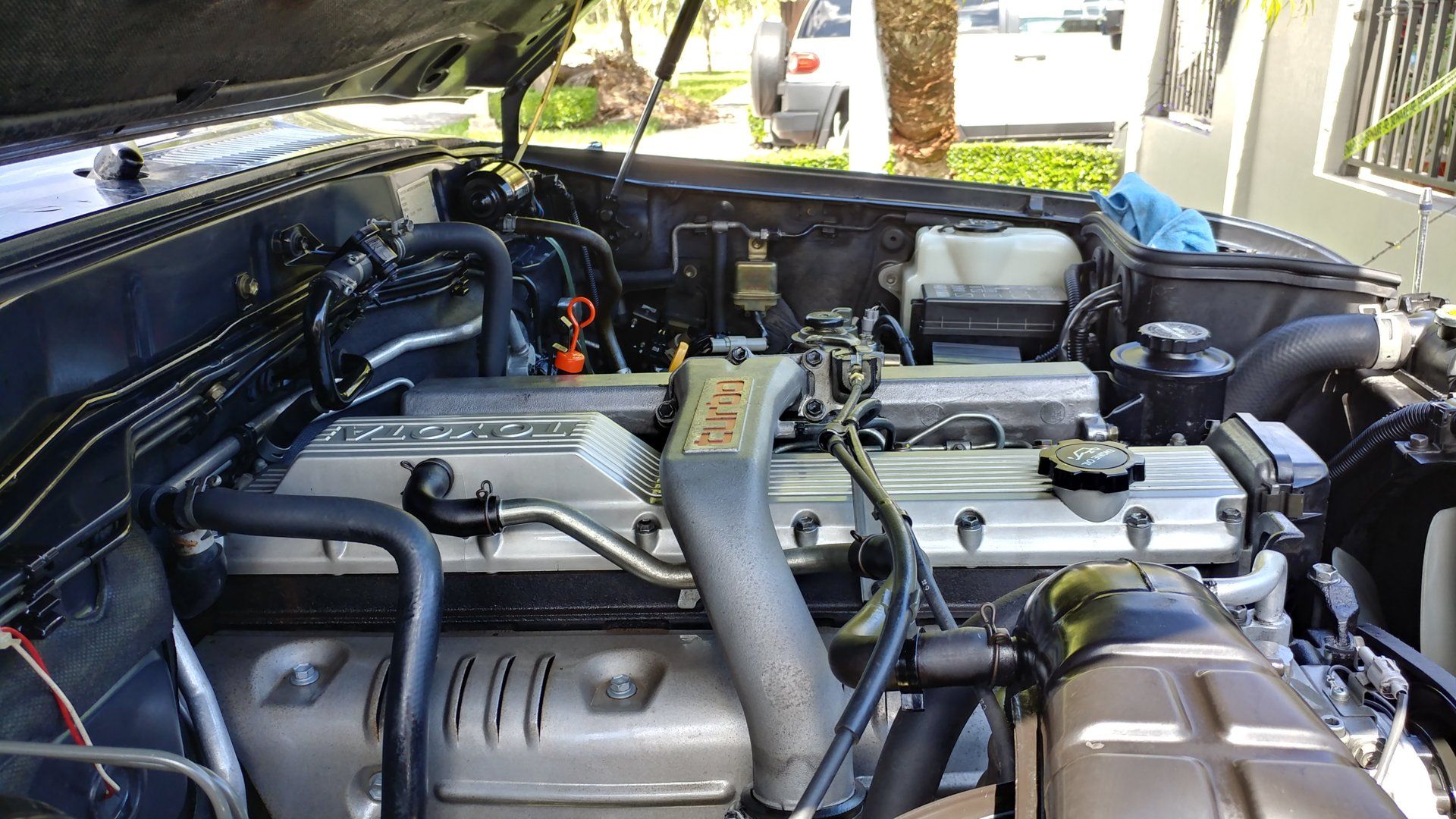 20171008_125239_HDR.jpg
