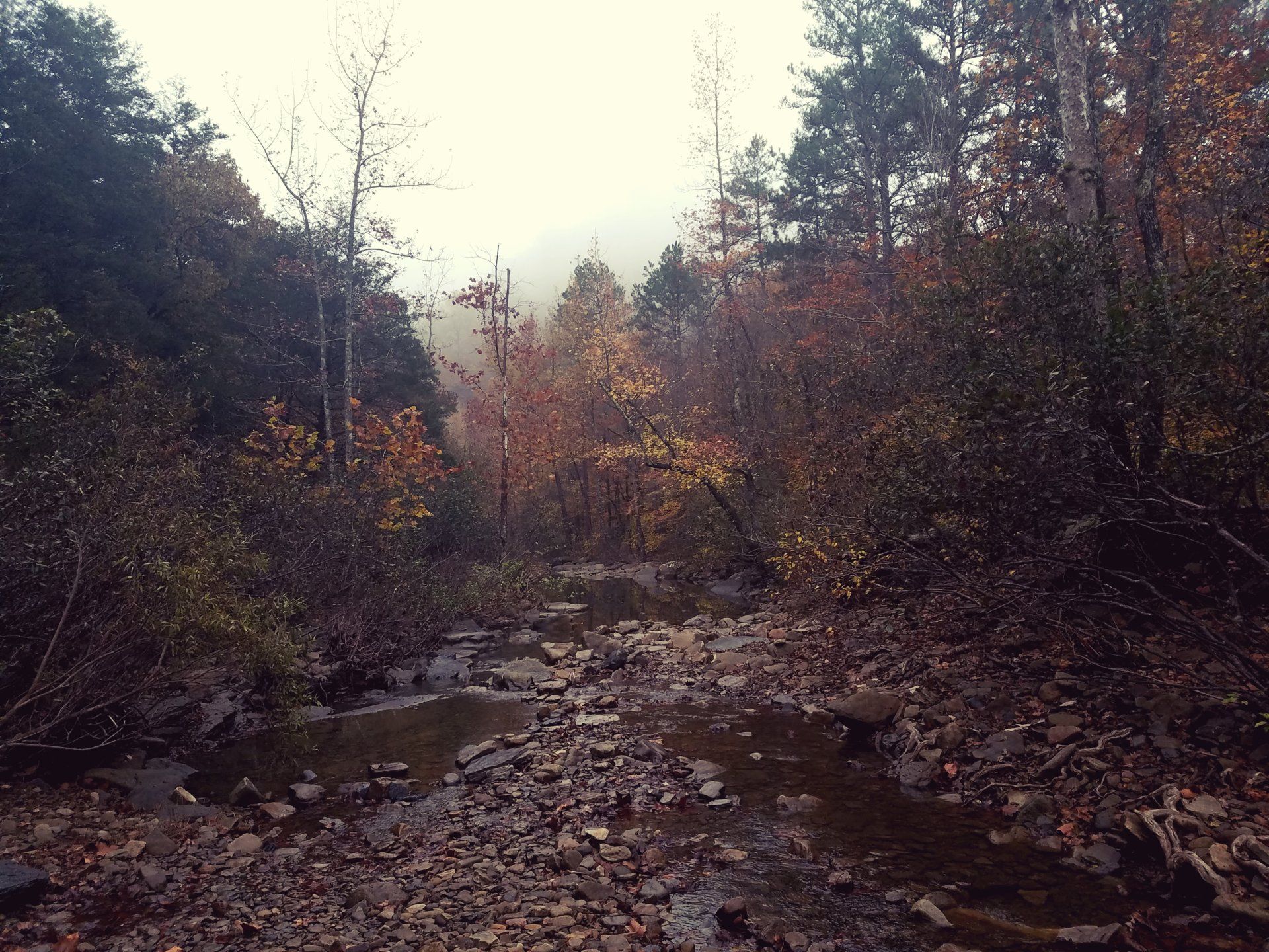 20171104_083317.jpg