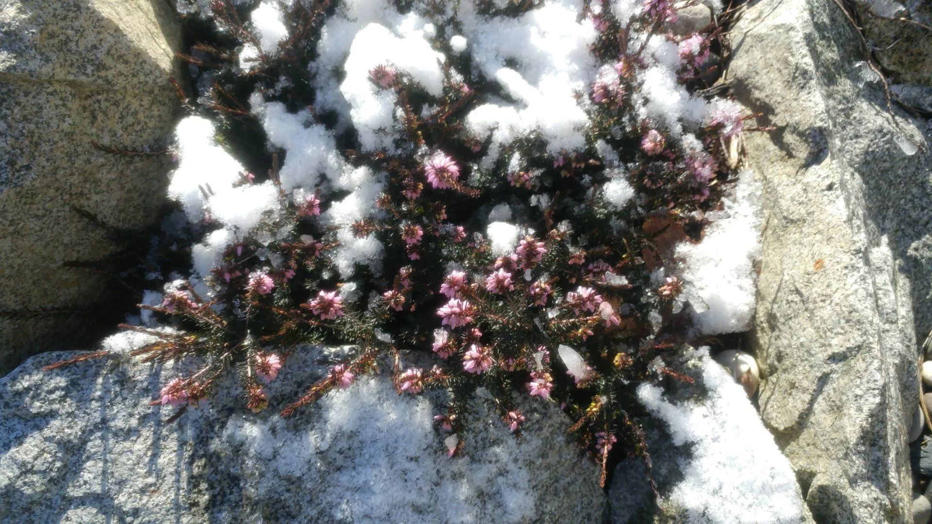 20180218_133922.webp