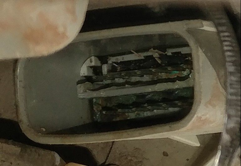 20180608_122924-2.jpg