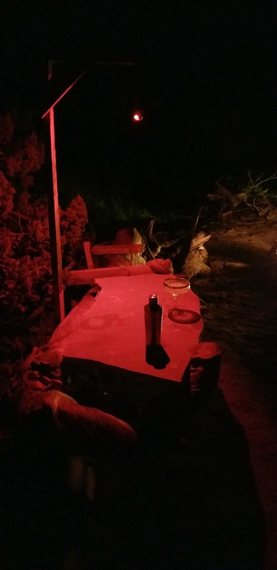 20180616_213359_resized.webp