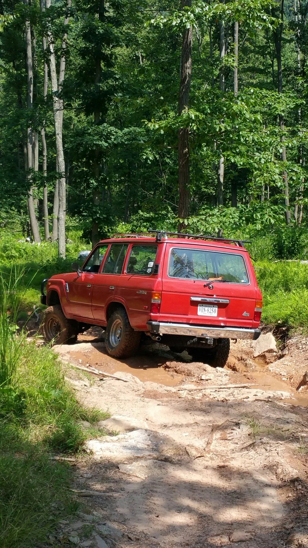 20180711_112153.jpg