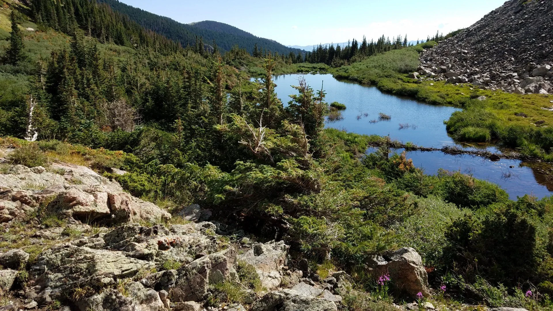 20180714_092512.webp