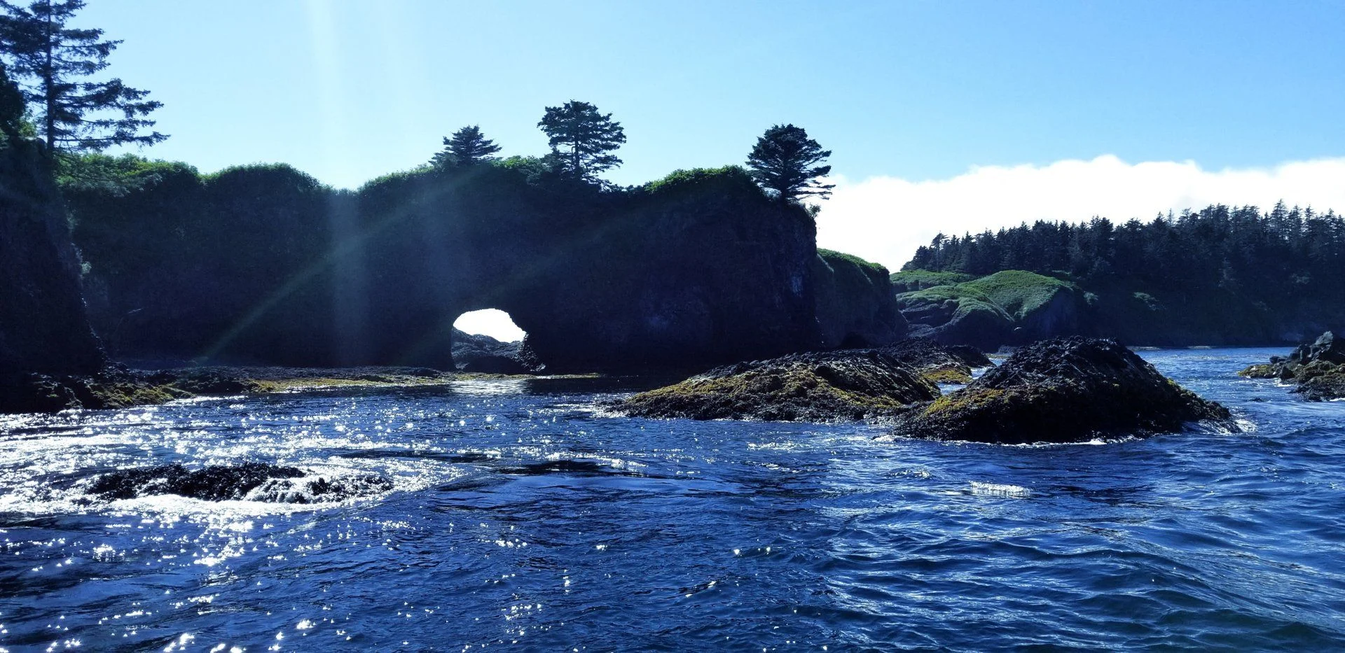 20180728_152807.webp