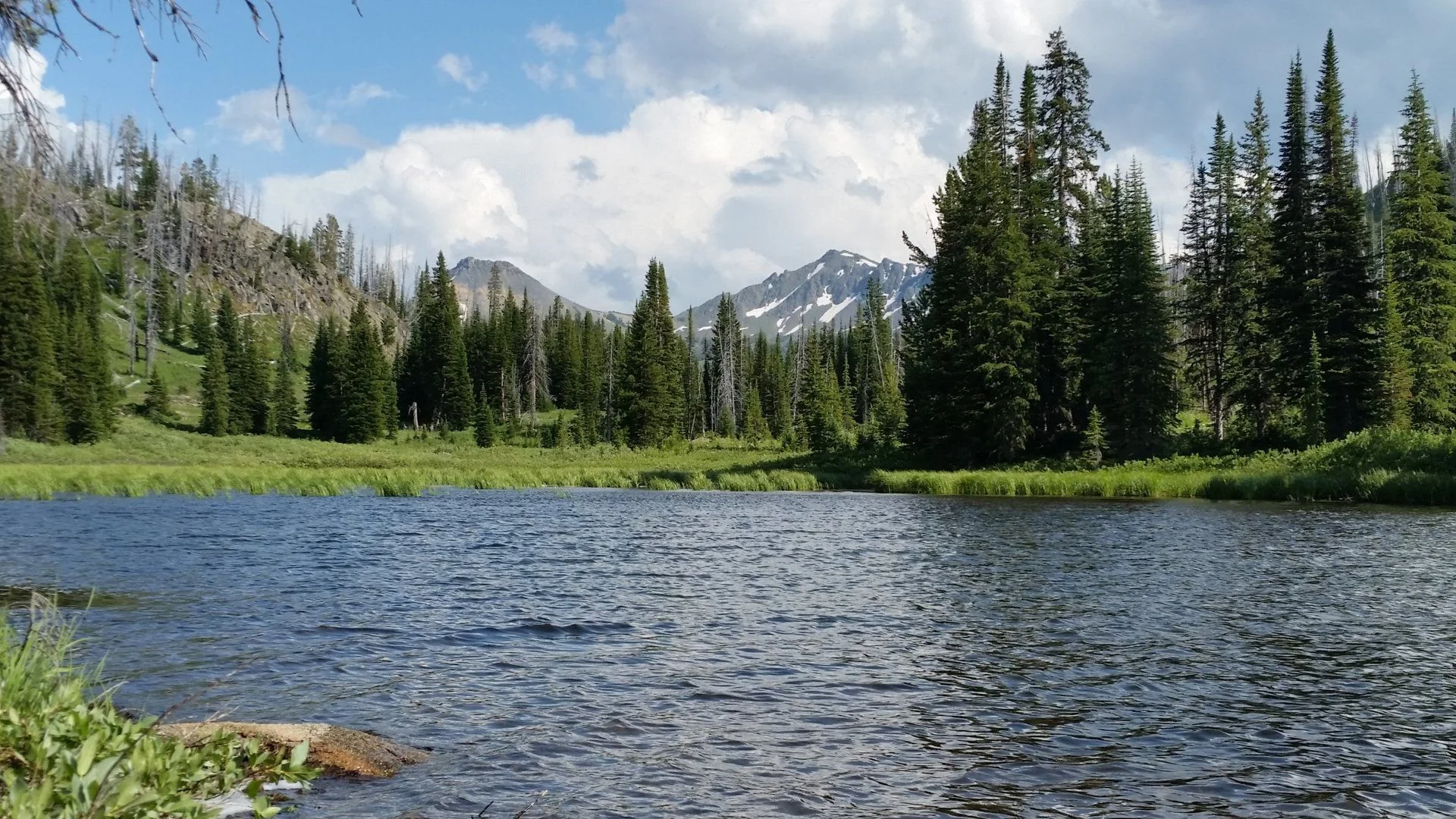20180729_164505.webp