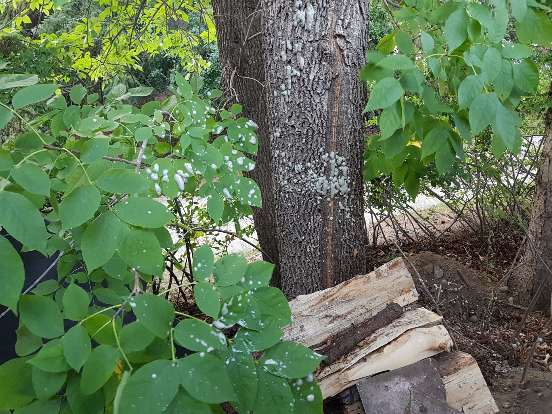20180807_201806.jpg