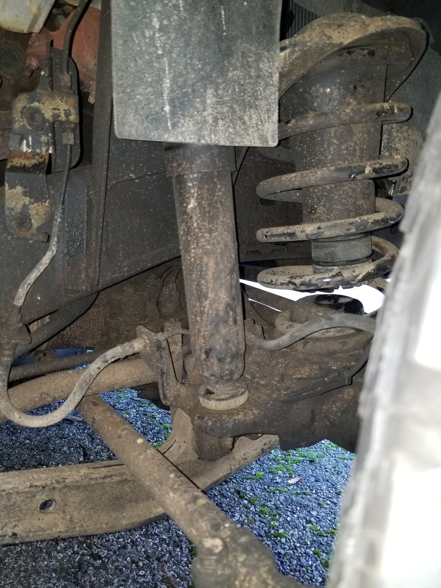 20180905_154232[1].jpg