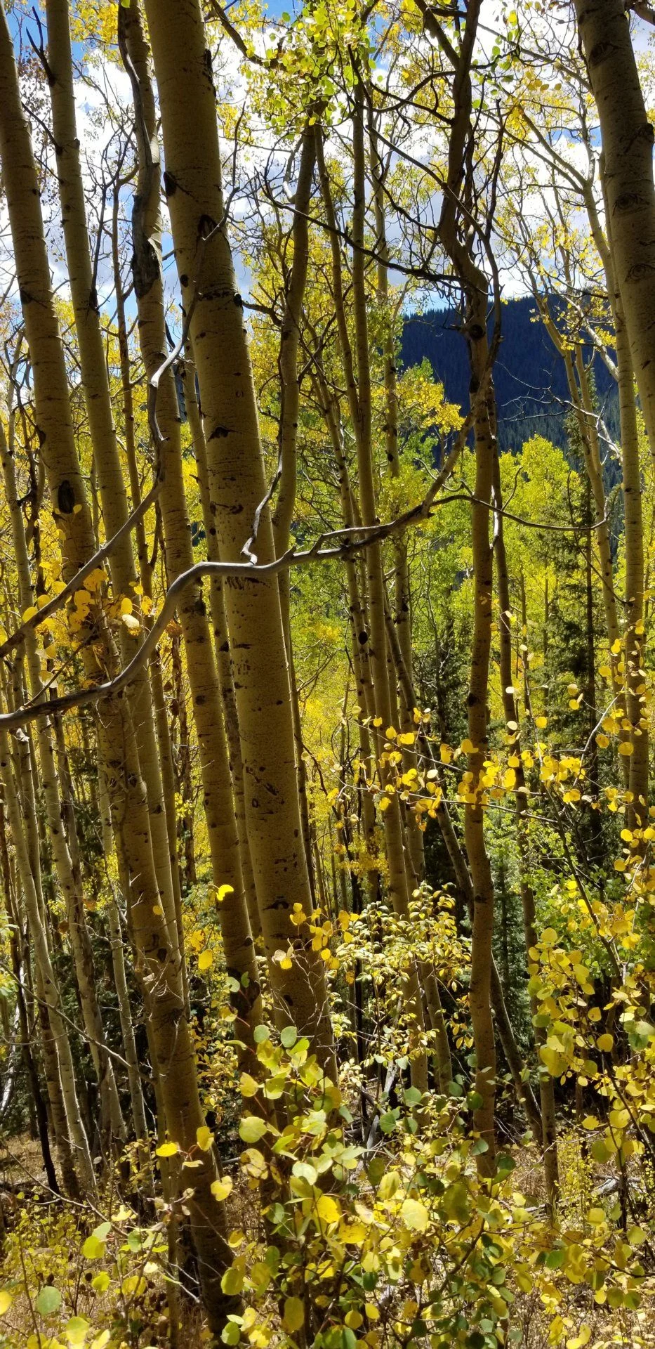 20180922_114426.webp
