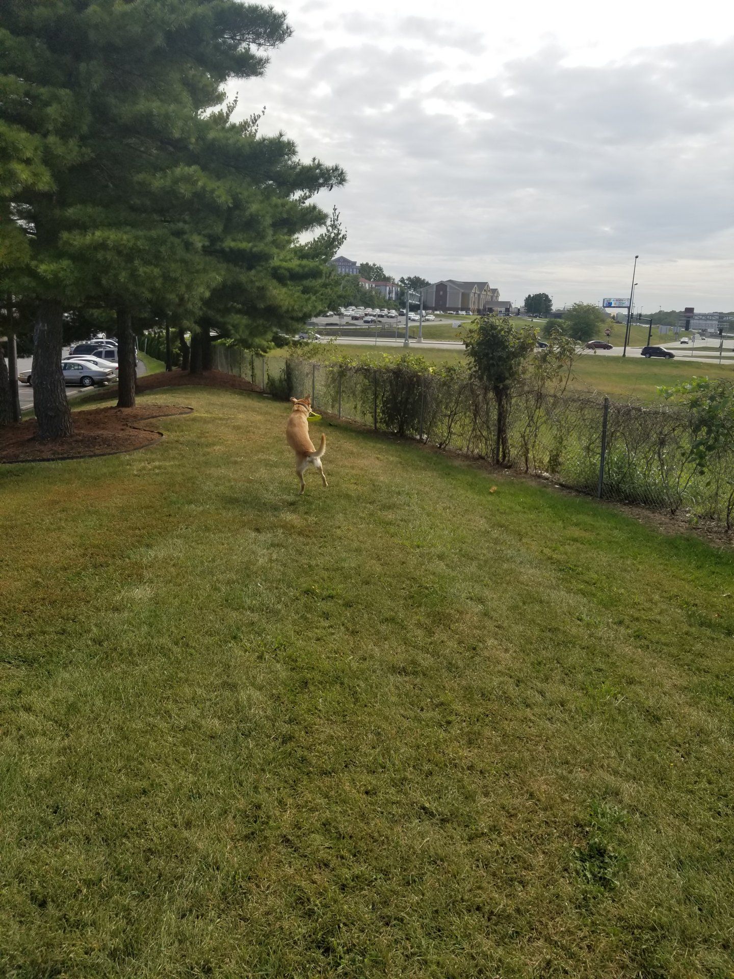 20181001_111544.jpg
