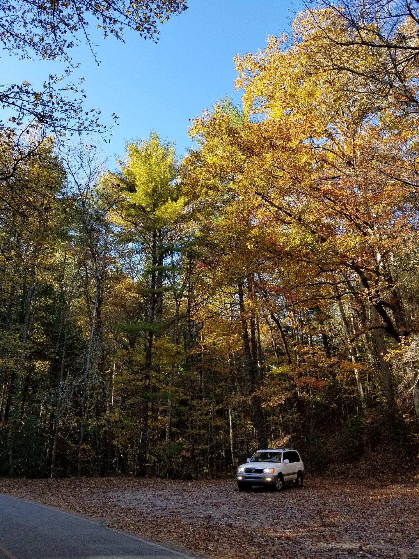 20181110_150612.jpg