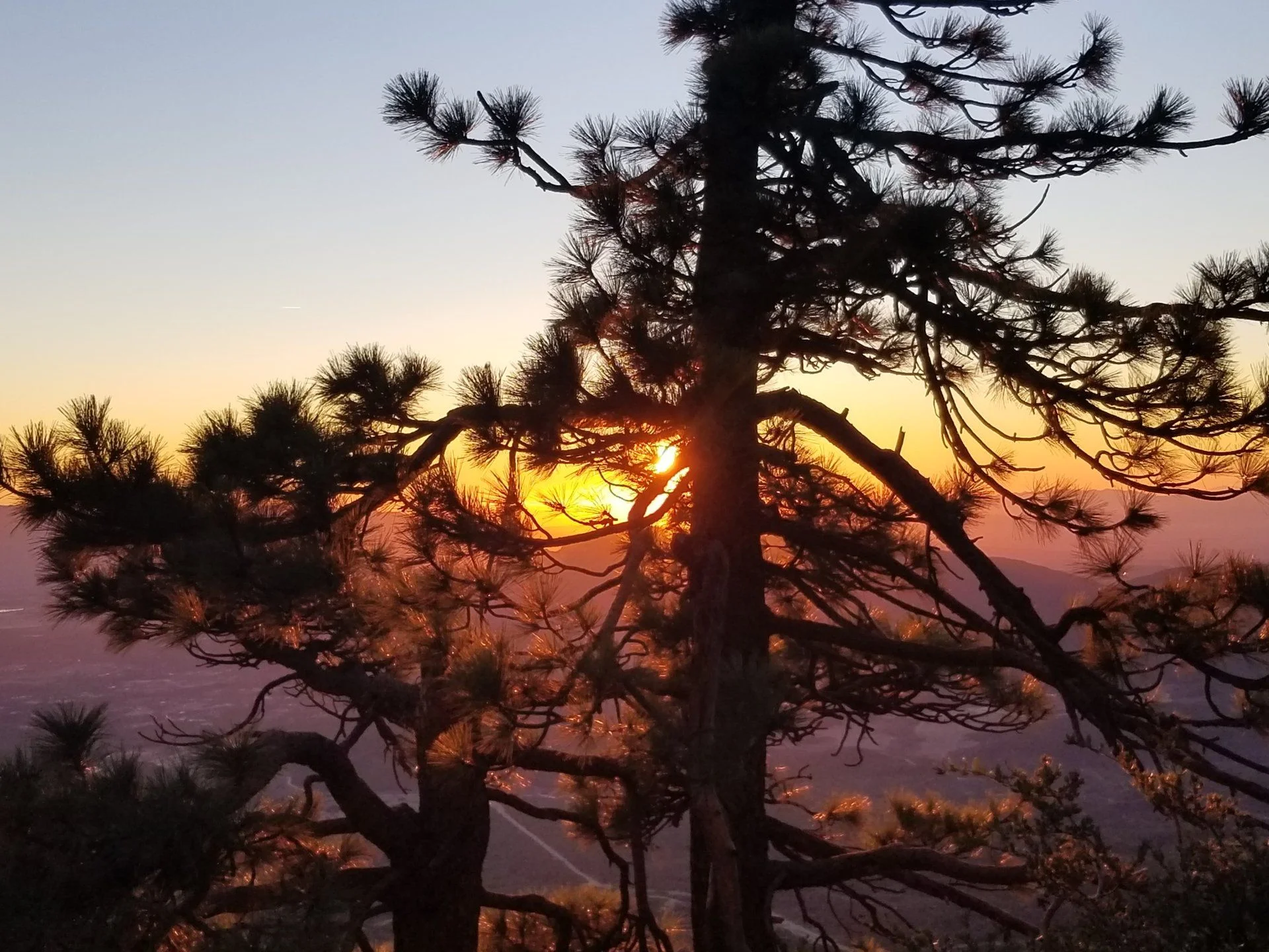 20181215_163950.webp
