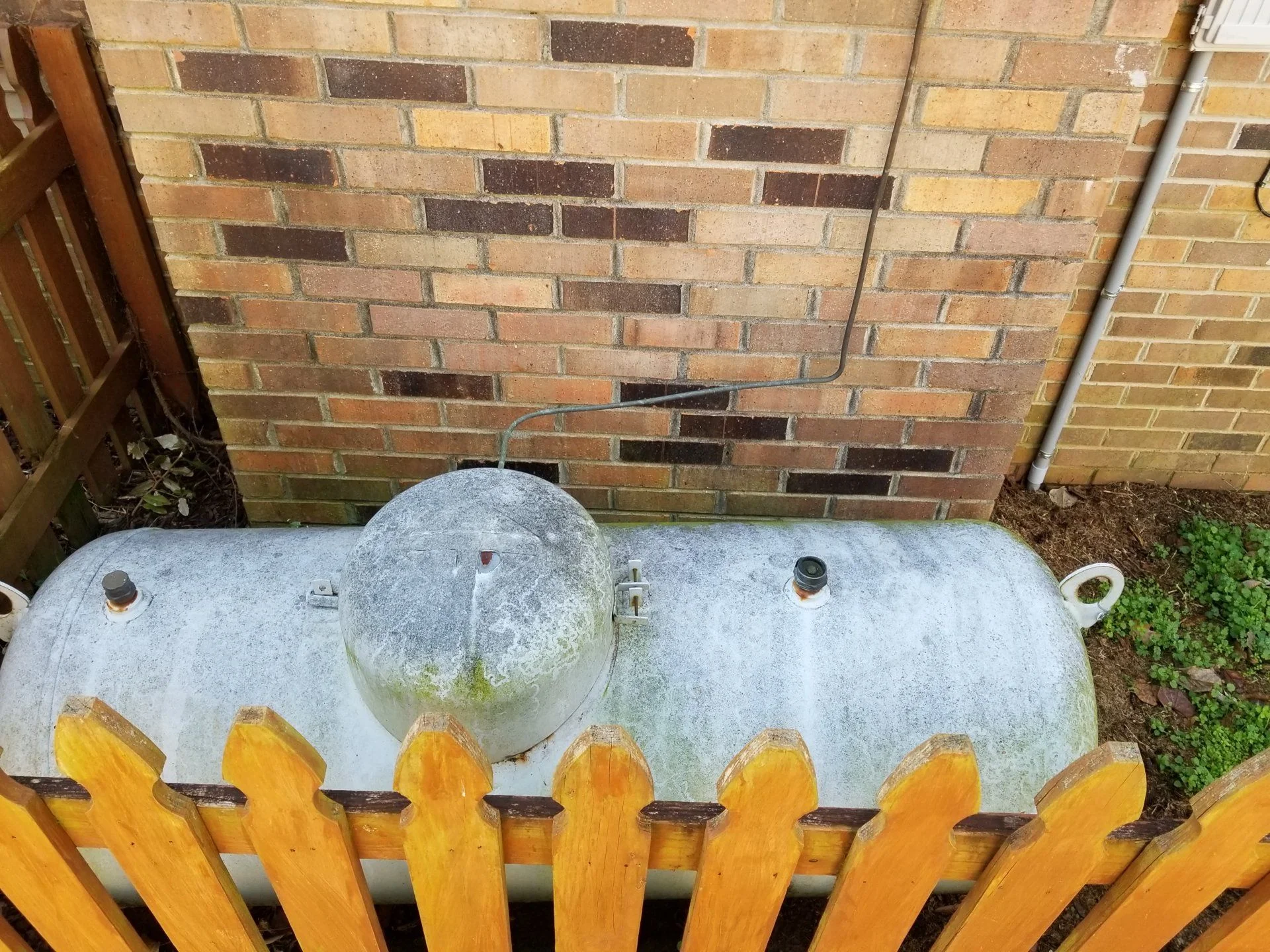 20190106_101847.webp