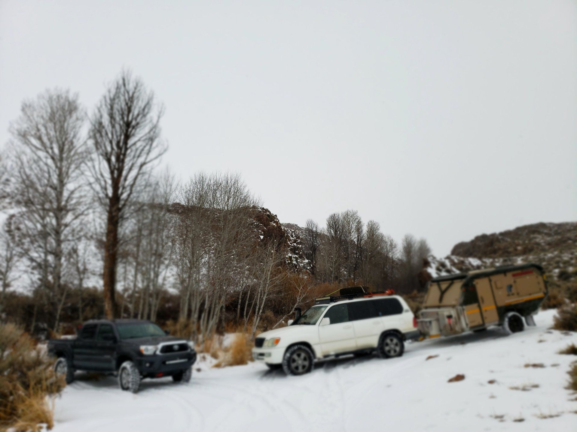 20190106_142646.jpg
