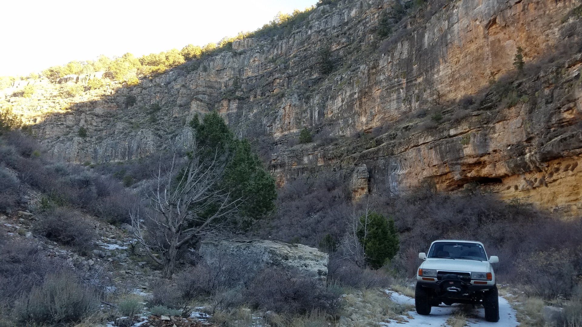 20190109_163709.jpg