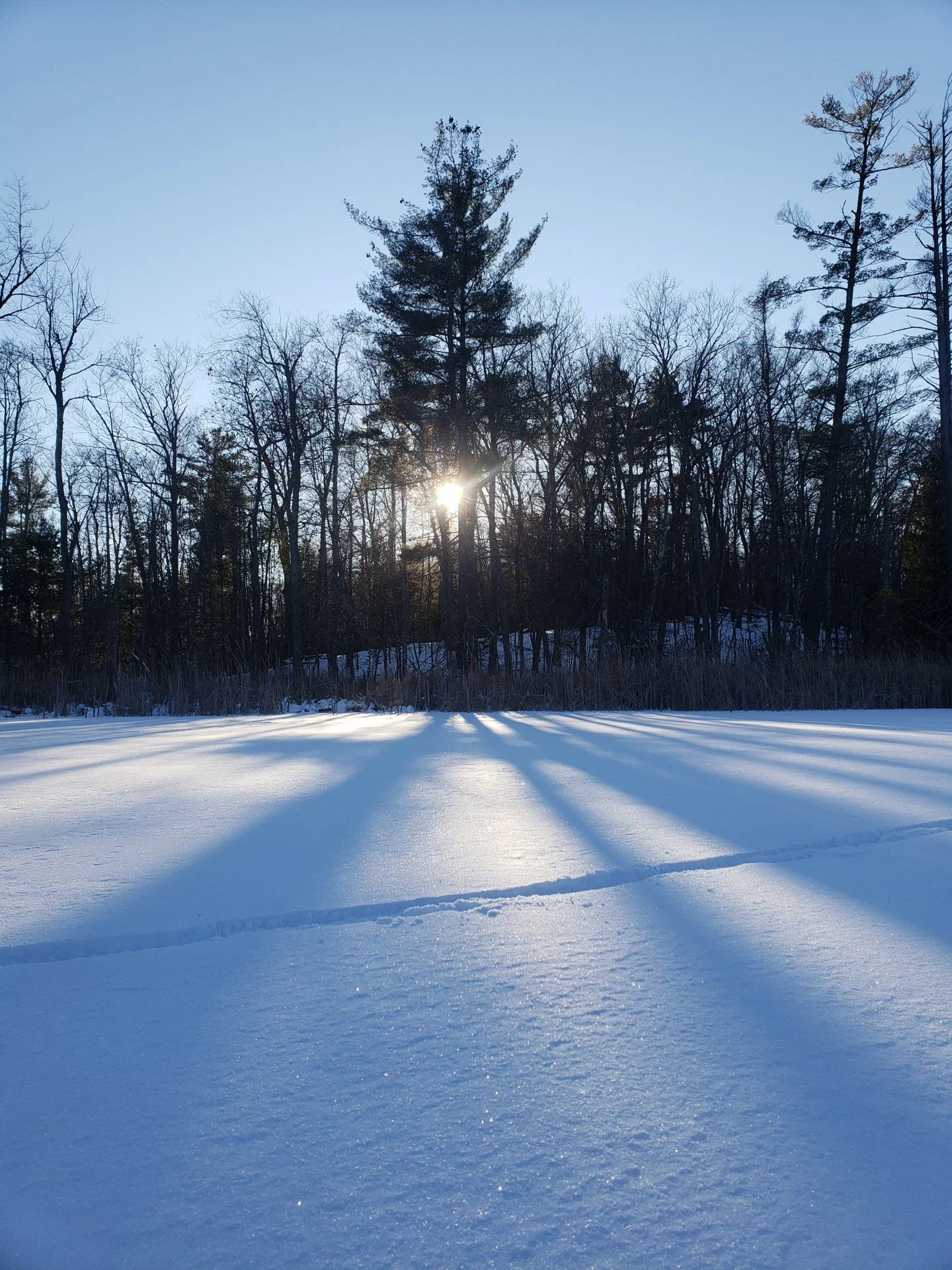 20190120_161438.webp