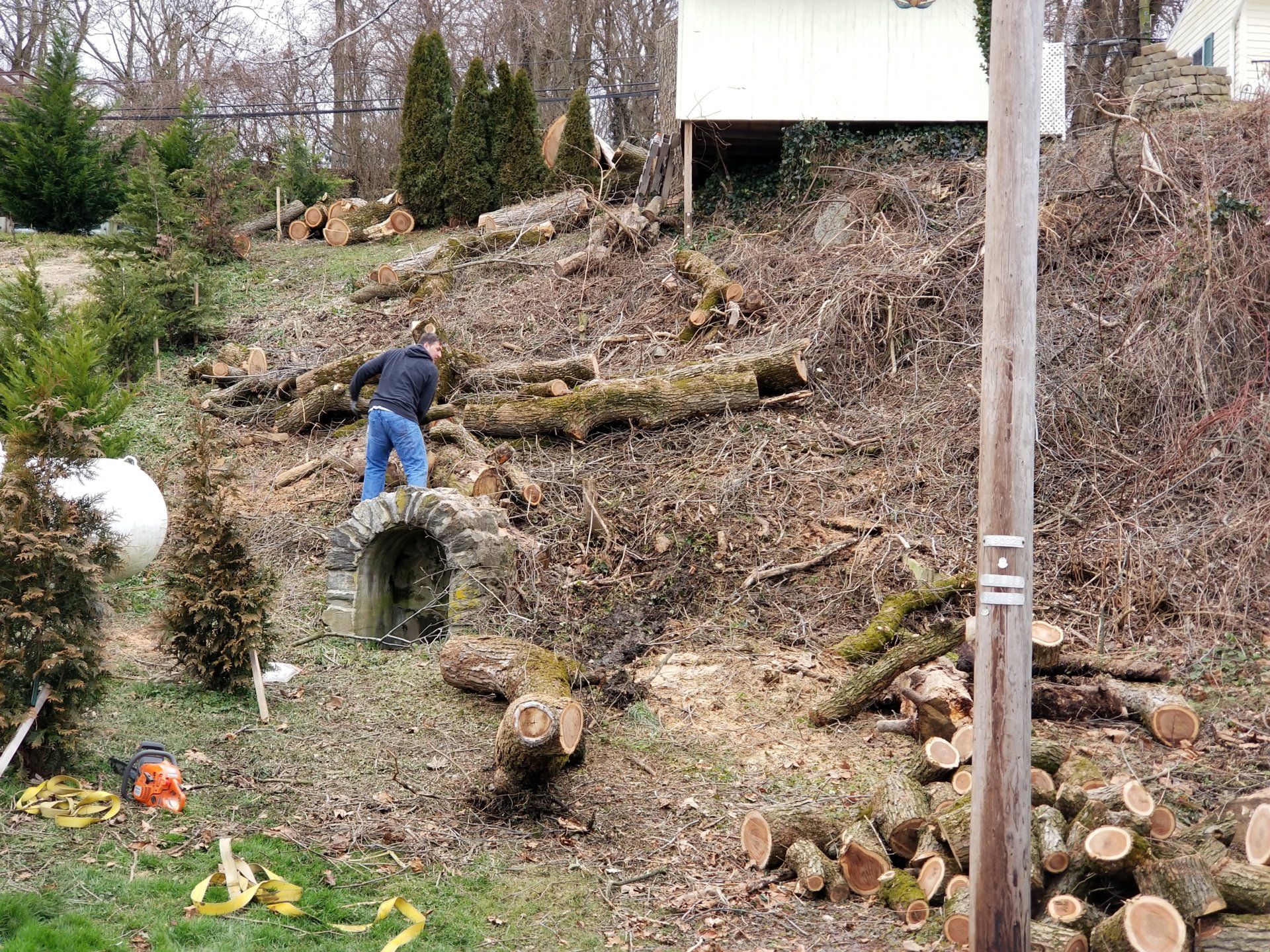20190127_104210[1].jpg