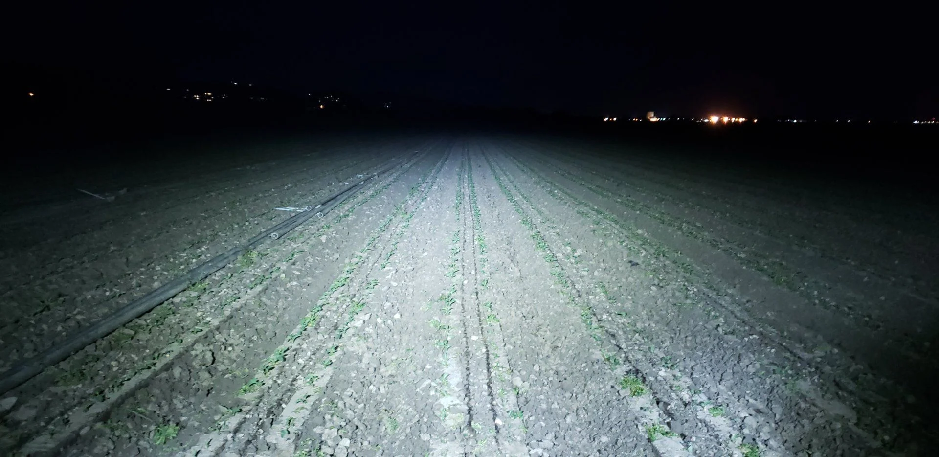 20190224_184501.webp