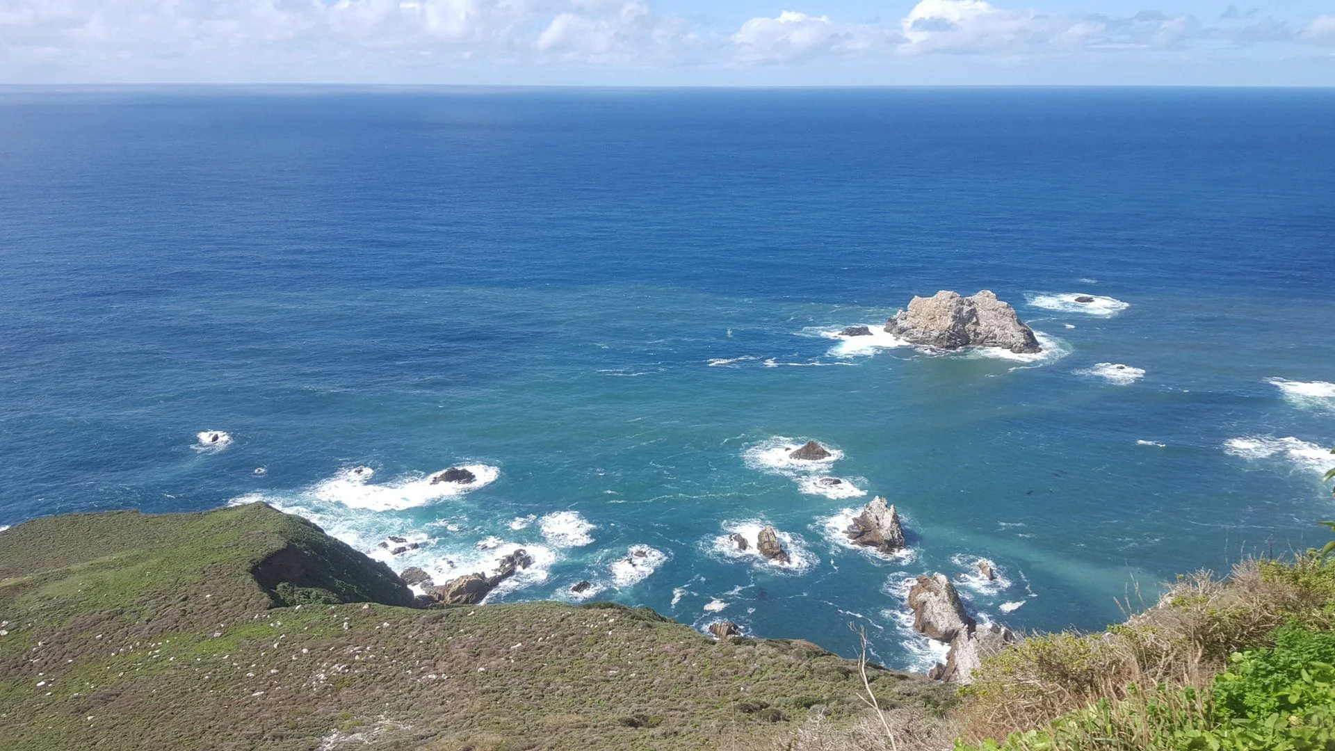 20190308_131026.webp