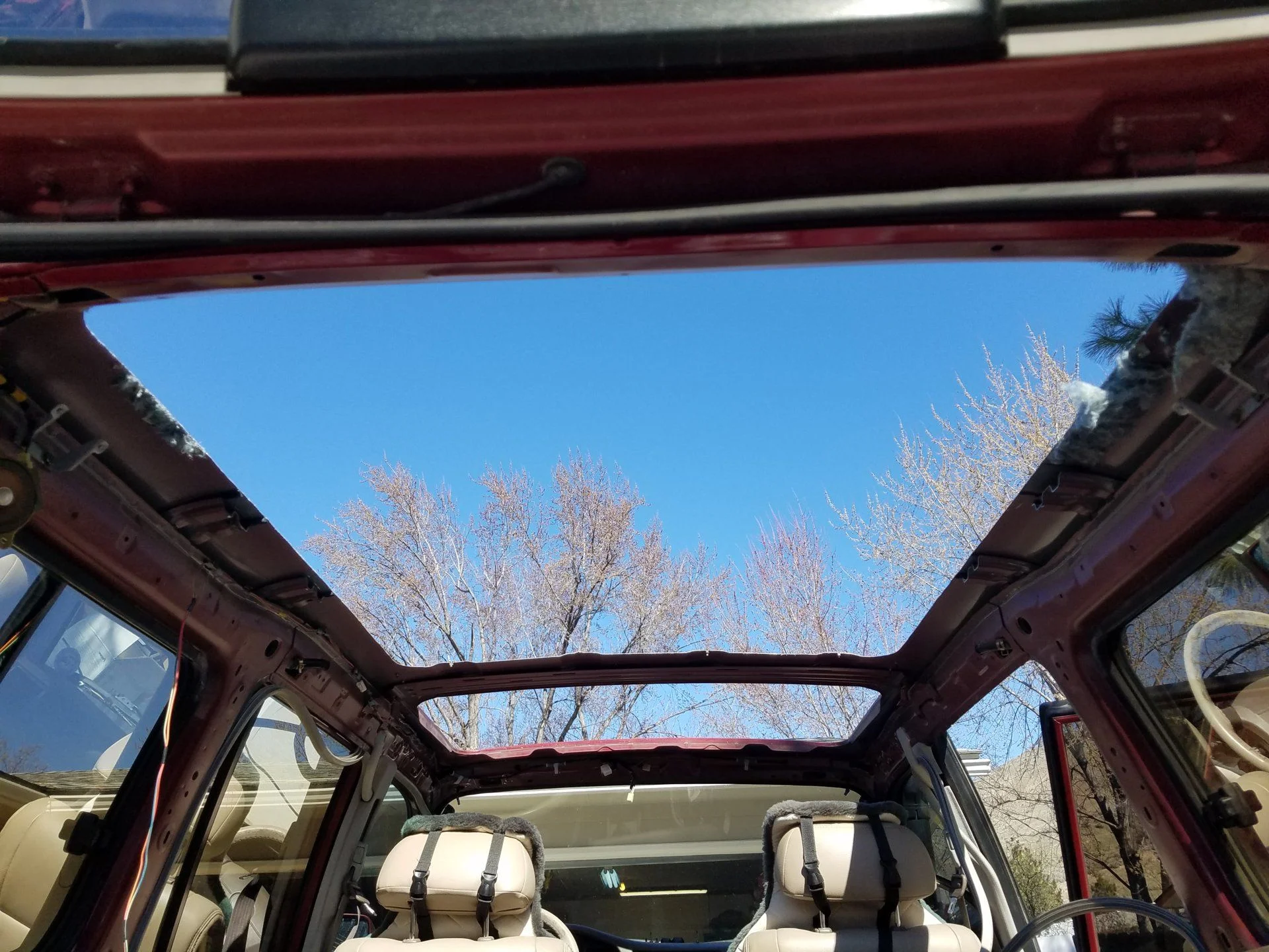 20190318_130034.jpg