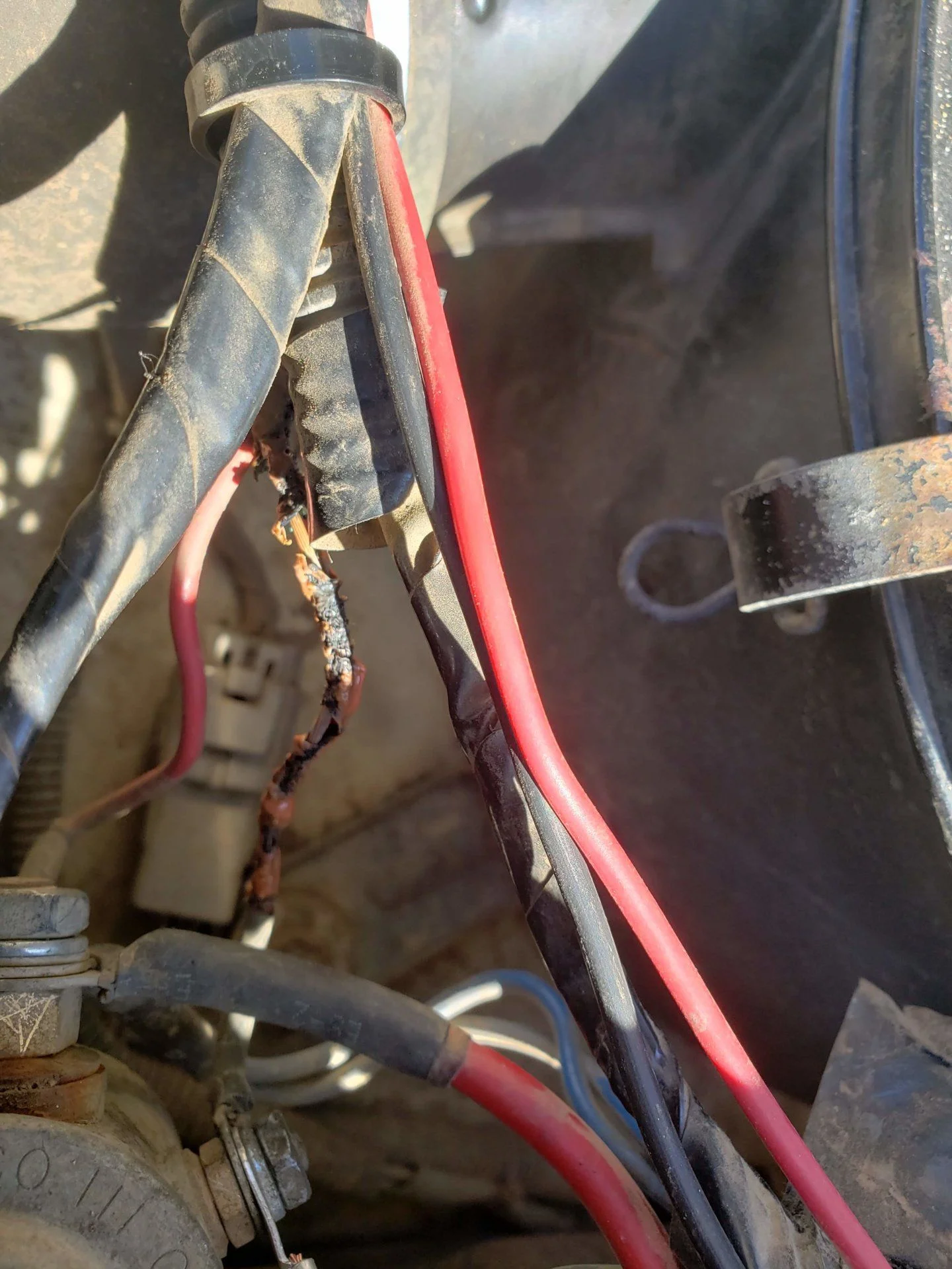 20190330_095257.webp