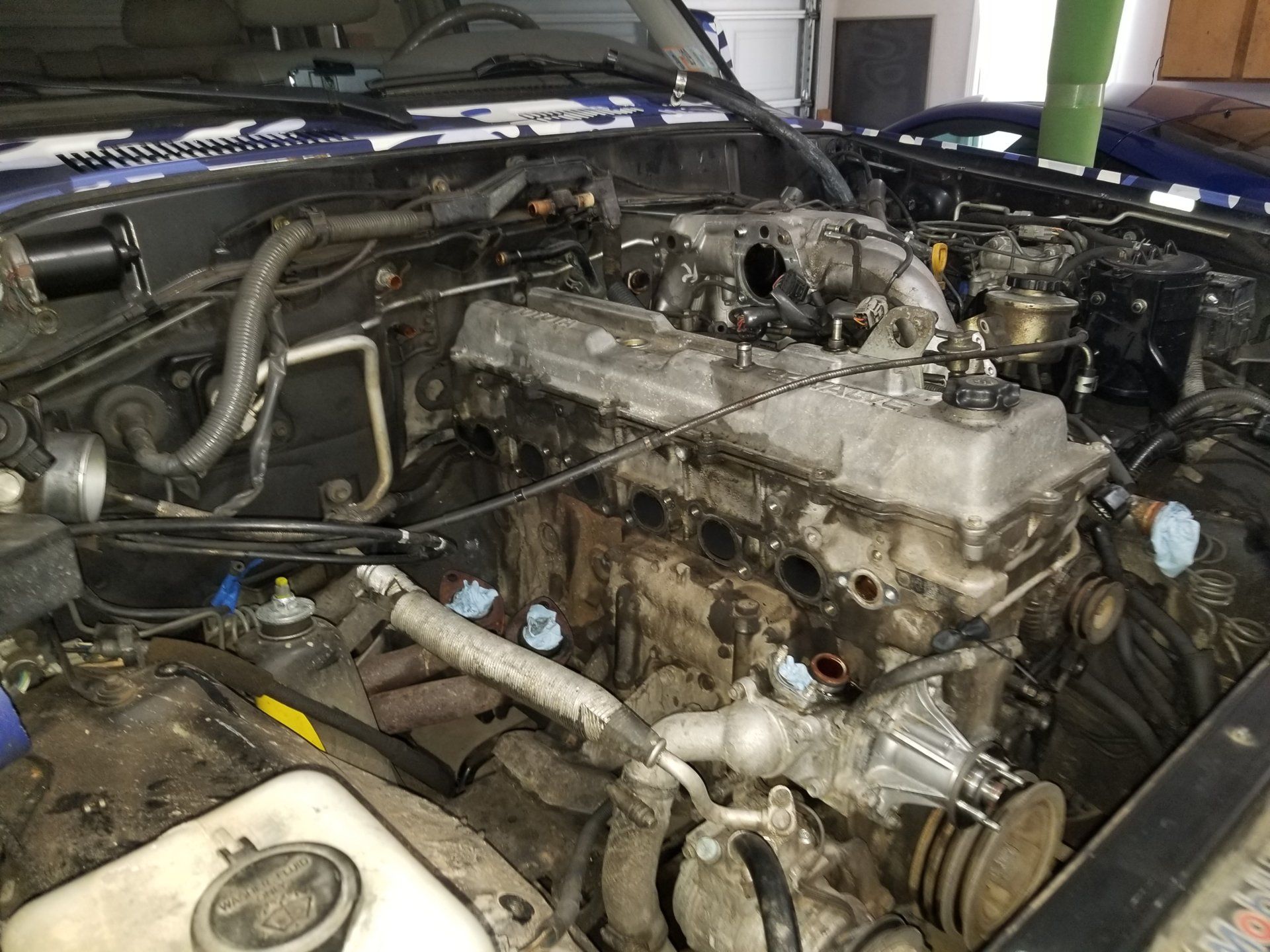 20190403_122212[1].jpg