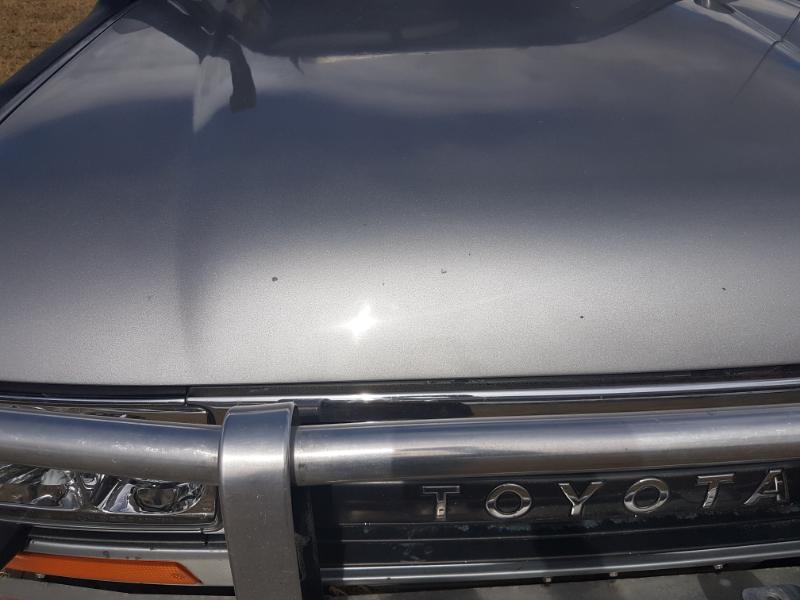 20190407_140904.jpg
