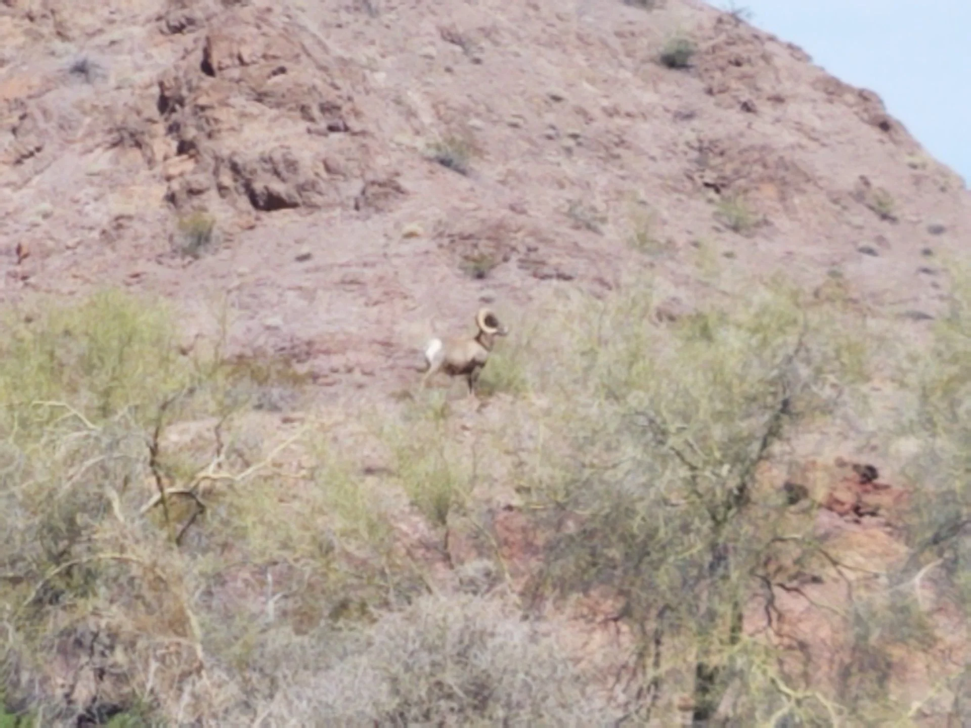 20190414_110335.webp