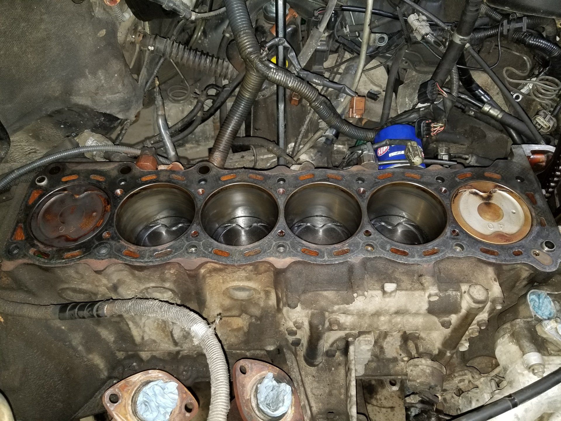 20190416_124821[1].jpg