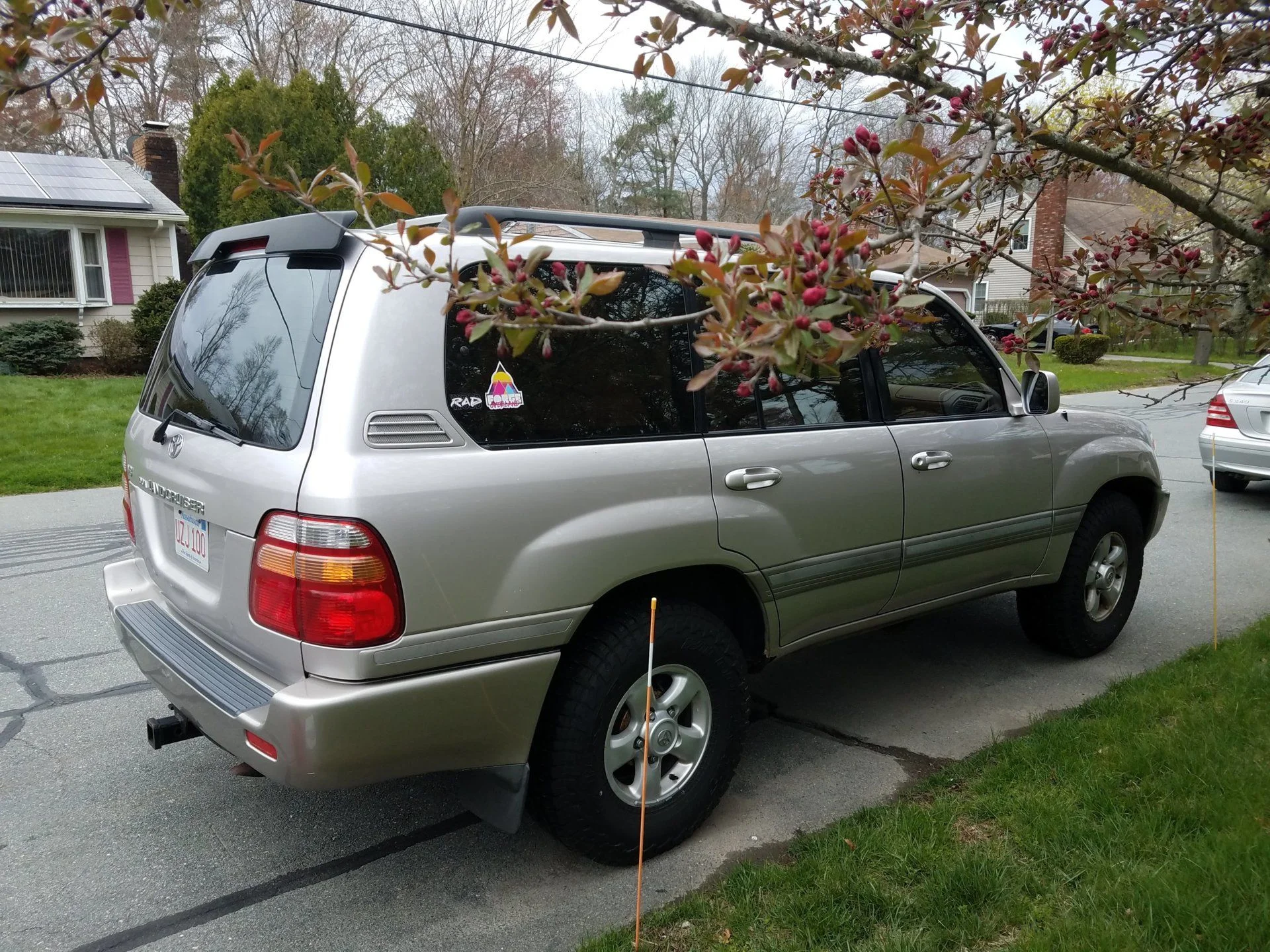 20190428_104657.jpg